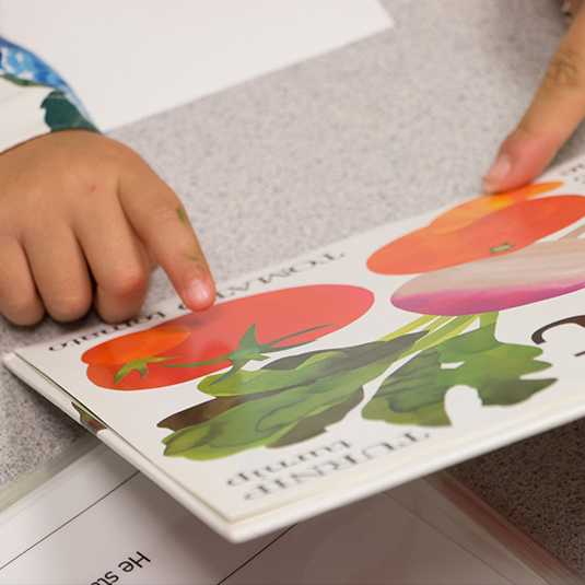 child identifying a tomato in an illustrated book